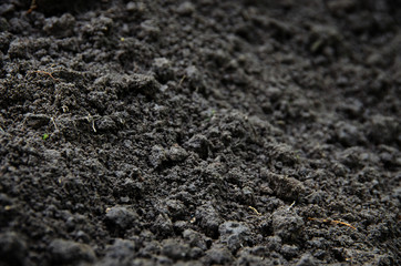 Closeup Black color soil texture