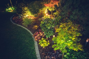 Wall Mural - Illuminated Backyard Garden