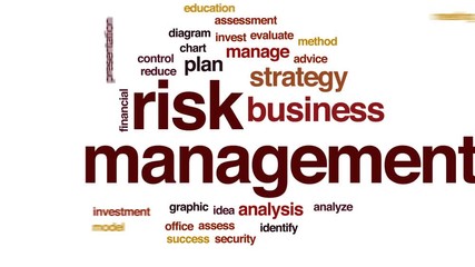 Sticker - Risk management animated word cloud, text design animation.