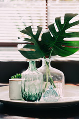 Monstera palm leaves in a vase on a dining table with vintage objects