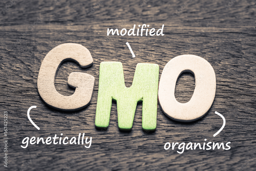 GMO - obrazy, fototapety, plakaty 