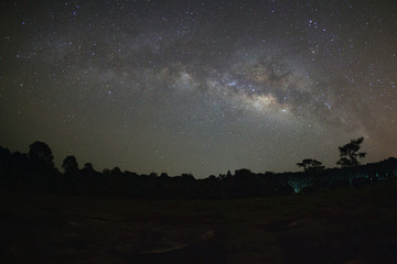 milky way galaxy and silhouette of tree with red light  at Phu Hin Rong Kla National Park,Phitsanulok Thailand