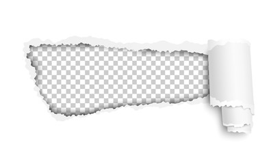 Wall Mural - Vector lacerated hole in white sheet of paper with soft shadow, transparent background of the resulting window and curl. Template paper design.