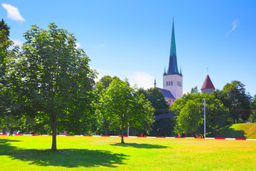 Wall Mural - Old town of Tallin