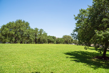 Green city park in midtown area of Houston at daytime during spring season. Row of huge oak trees, grassy lawn, pathway with clear blue sky. Urban recreation and outdoor activities background.