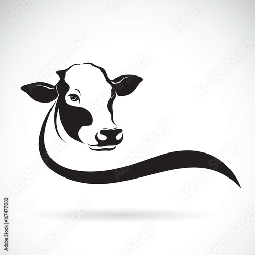 Fotografía Vector of a cow head design on white background. Farm Animal.
