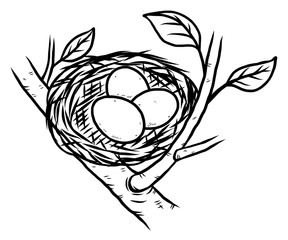 Wall Mural - bird nest and three eggs / cartoon vector and illustration, black and white, hand drawn, sketch style, isolated on white background.