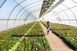 © Sarah Rypma - Girl walking along pathway in greenhouse