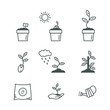 Pflanzen Samen Aussaat Vektor Icon Set