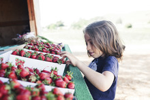 Boy Looking At Strawberries By Market Stall