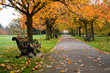 Autumn in Greenwich Park