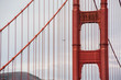 Close-up of the Golden Gate Bridge with a bird