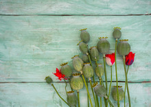 Poppy Heads On Wooden Surface