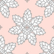 Combined succulents in gray outline and white plan on pastel pink background. White blossom flowers. Seamless pattern vector illustration.