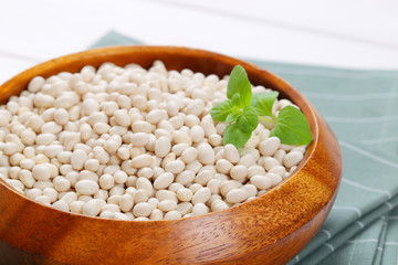 Poster - raw white beans