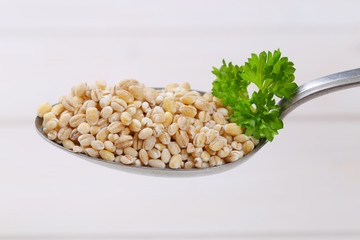 Sticker - grains of pearl barley