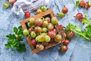 Wall Mural - gooseberry