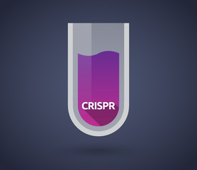 Canvas Print - Chemical test tube with  the clustered regularly interspaced short palindromic repeats acromym CRISPR