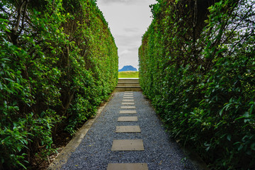 Aufkleber - Marble walkway Two sides of the tree