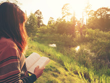 The Woman Reading The Book At Nature.