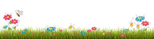 Fresh Realistic Green Grass With Red Flowers - Vector Illustration 