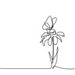 Beautiful flower Echinacea with butterfly. Continuous line drawing. Vector illustration