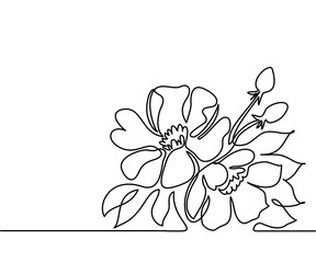 Wall Mural - Beautiful flowers. Continuous line drawing. Vector illustration