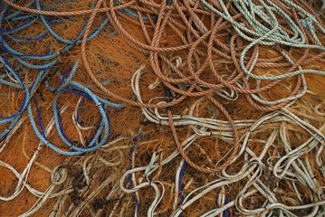 The fishing net