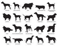 Set Of Dogs Silhouettes-2