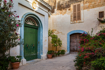 Wall Mural - Streets of old town at sunny day. Cozy yard with exotic plants, Mdina, Malta.