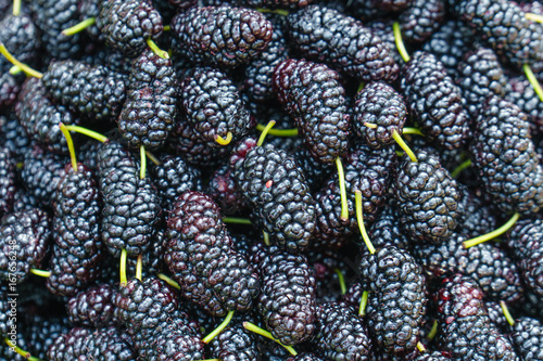 Fresh Mulberries This Stock Photo And Explore Similar Images Fresh Mulberries This Stock Photo