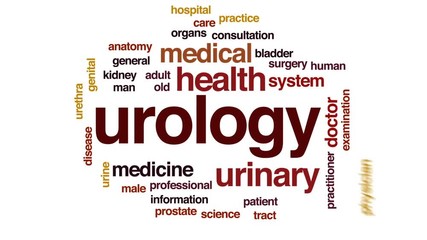 Poster - Urology animated word cloud, text design animation.