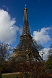 Fototapeta  - Eiffel Tower 