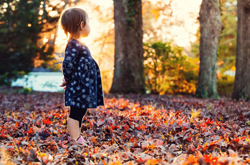 Wall Mural - Toddler girl standing outside in the autumn leaves at sunset