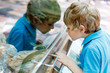 Little kid boy admire Poisonous green snake in terrarium