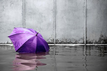 Purple Umbrella Floating Concept. Flooded On Street. .Waiting For Help Me After The Rain. Black And White Colors. Close Up.
