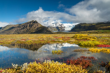 Wall Mural - Farbenprächtige Herbst-Landschaft im Skaftafell Nationalpark, Südisland
