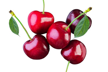 Sticker - cherry