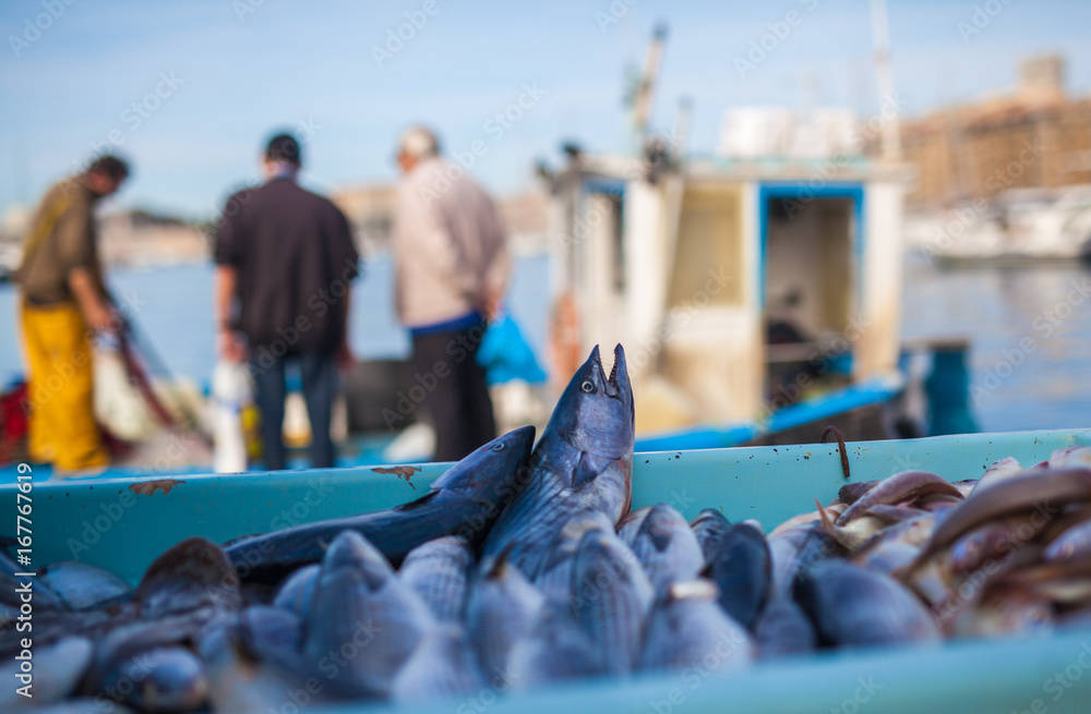 Marché de poissons à Vieux Port Marseille - obrazy, fototapety, plakaty 