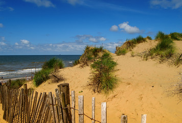 Wall Mural - Sand dunes. Beach and sea