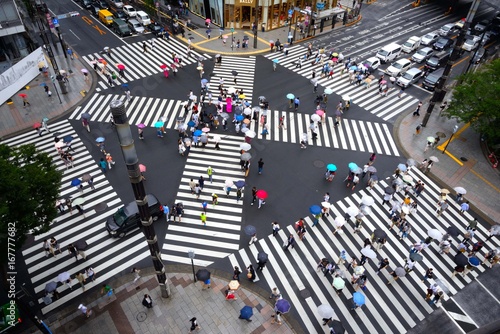 雨の日の数寄屋橋交差点 スクランブル交差点のゼブラと色とりどりの傘がいい感じだ Fotografia Do Stock Adobe Stock 雨の日の数寄屋橋交差点 スクランブル交差点のゼブラと色とりどりの傘がいい感じだ Fotografia Do Stock Adobe Stock
