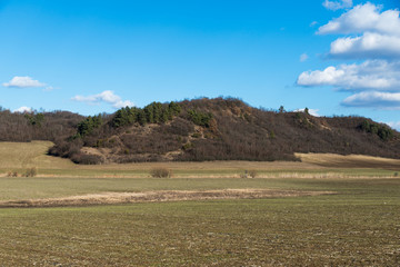 Wall Mural - field