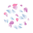 © Natasha_S - White Blue Pink Purple sakura flying petals isolated on White background. Petals Roses Flowers. Vector EPS 10, cmyk