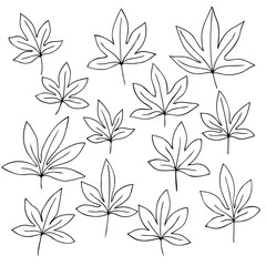 Wall Mural - vector contour set of leaves