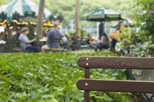 Bryant Park Background Wallpaper High Res Bench With People Leusure Concept Relaxing In The City Natural Resources And Casual Atmosphere Upscale New York.