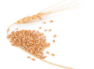 Poster - Ears of wheat and wheat grains