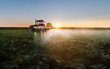 © Dusan Kostic - Tractor spraying soybean field