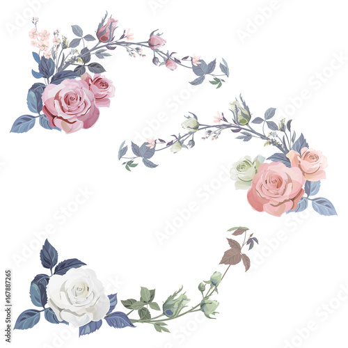 Set of curly branch rose: white, red, pink flowers, buds, green leaves) on wh...
