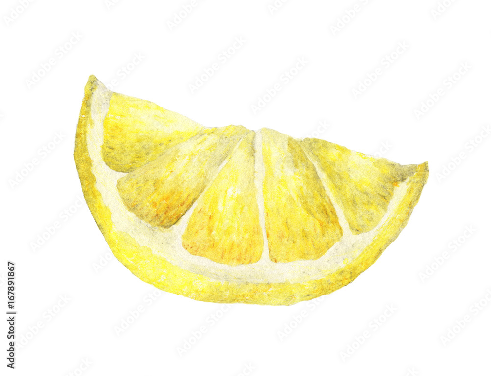 Watercolor lemon slice. Hand drawn illustration, isolated on white ...