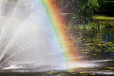 Fototapeta Tęcza - Colorful rainbow on the pond close up view
